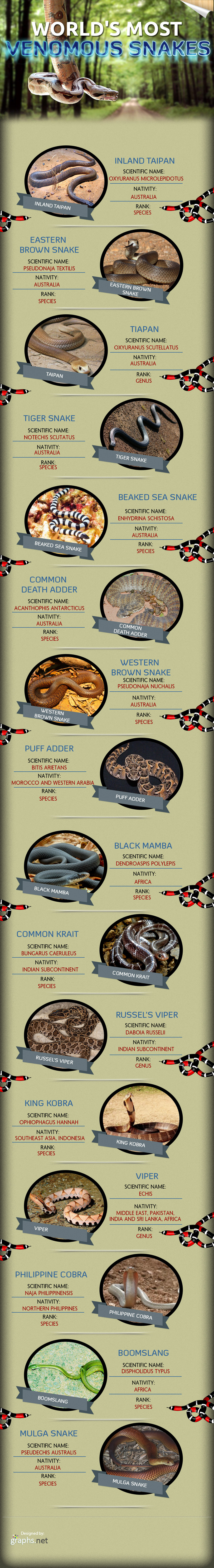 Most Venomous Snakes in the World