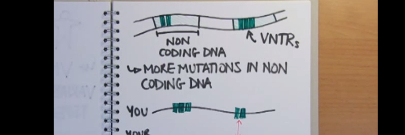 Who Invented DNA Fingerprinting