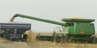 Pros and Cons of Agricultural Subsidies