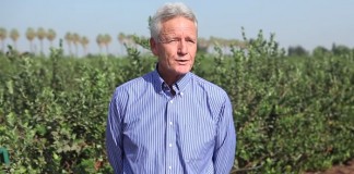 Pros and Cons of Conventional Farming