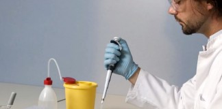 Pros and Cons of Genetically Modified Animals