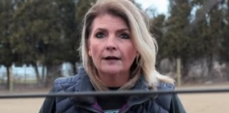 Pros and Cons of Horse Slaughter