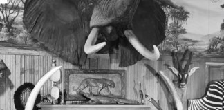 Pros and Cons of Hunting