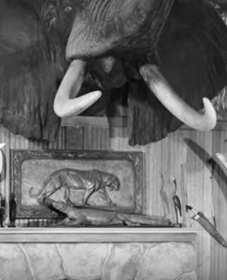 Pros and Cons of Hunting