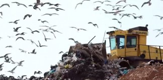 Pros and Cons of Recycling