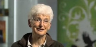 Pros and Cons of Wolf Reintroduction