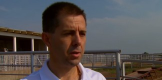 Pros and Cons of Artificial Insemination