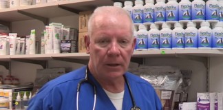 Pros and Cons of Dog Neutering