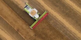 5-solutions-to-factory-farming