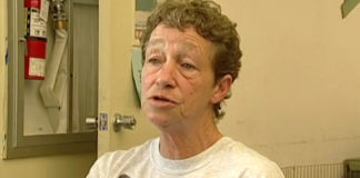 4-solutions-to-animal-abuse