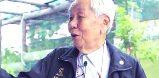 5-benefits-of-urban-farming