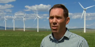 5-environmental-impacts-of-wind-energy