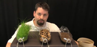 5-negative-effects-of-soil-erosion