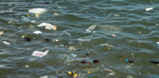 5-solutions-to-the-great-pacific-garbage-patch