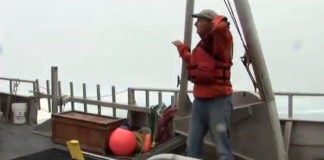 4 Solutions to Dead Zones