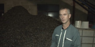 how-does-biomass-work