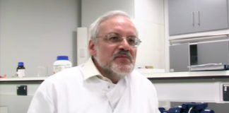 why-is-biomass-considered-a-renewable-resource