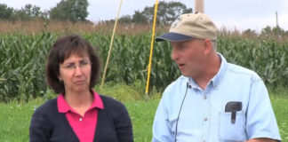 Natural Gas Environmental Impact