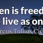 zzzfreedommtc700x293