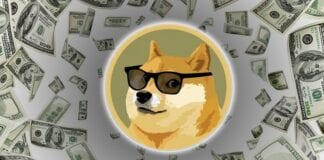 Dogecoin: Is The Hype REAL?? This You NEED To Know!!