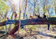 You Don’t Have to Send Your Kid Back to Public School This Fall—Here Are Your Options