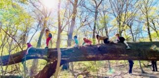 You Don’t Have to Send Your Kid Back to Public School This Fall—Here Are Your Options